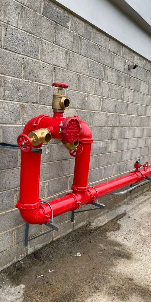 WhatsApp Image 2025-06-20 at 5.04.41 PM