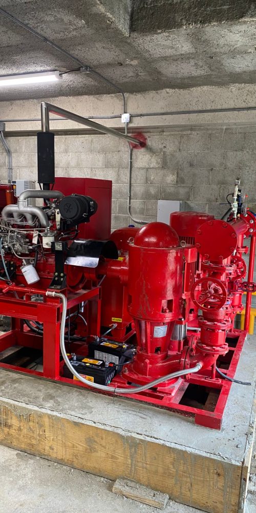 WhatsApp Image 2025-06-20 at 5.04.42 PM (3)