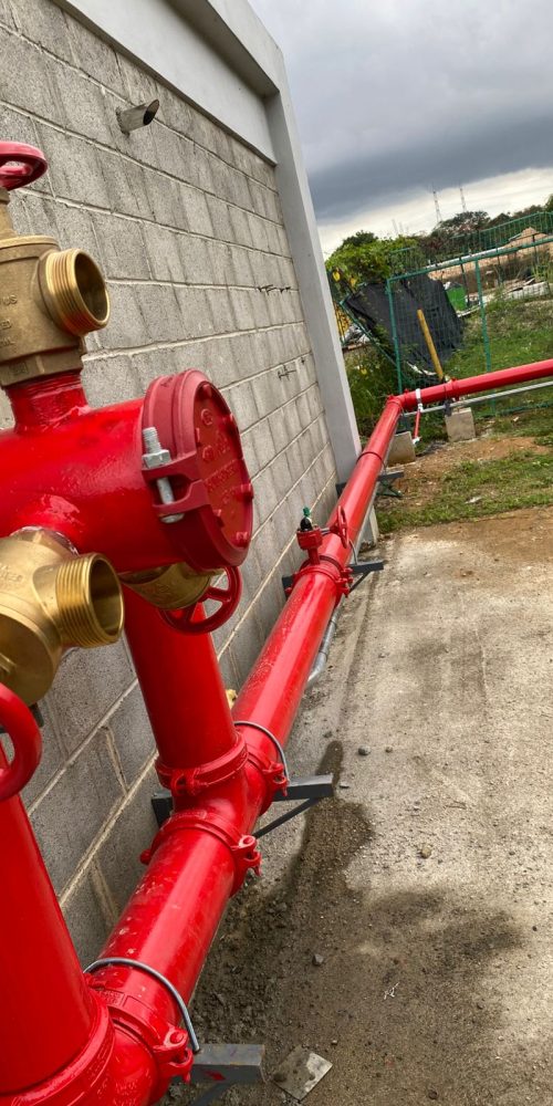 WhatsApp Image 2025-06-20 at 5.04.42 PM