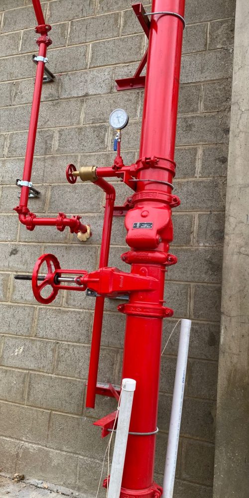 WhatsApp Image 2025-06-20 at 5.04.44 PM (1)